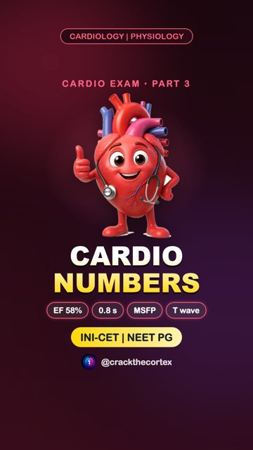 Cardiac Physiology Numbers